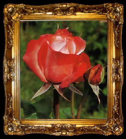 framed  unknow artist Still life floral, all kinds of reality flowers oil painting  148, ta009-2